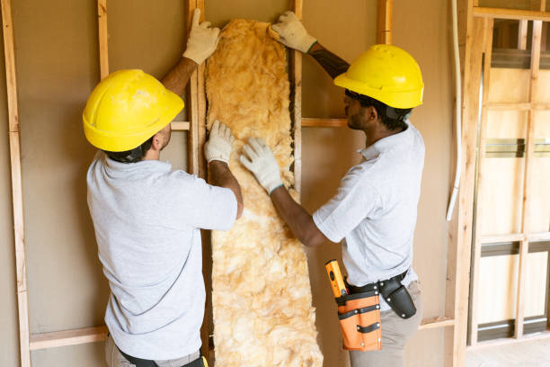 Best Insulation for Existing Homes  in Blandon, PA